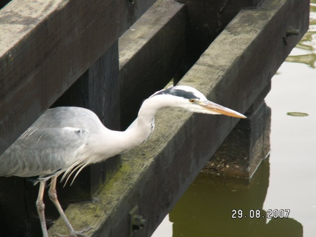 pict2055.jpg