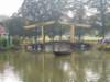pict2201_small.jpg
